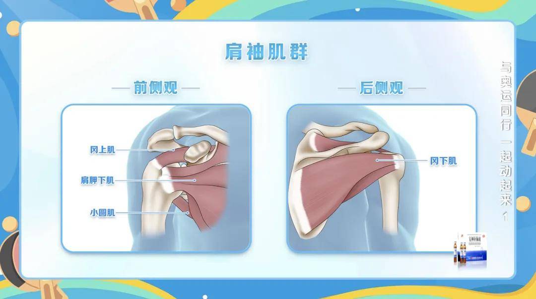 【168sports】科学运动，乒乓球 网球轻松拿捏！